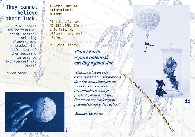 Pocket 3: Fertile Cosmos