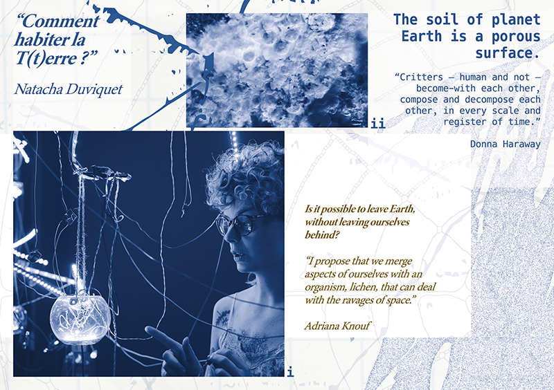 Pocket 5: Future organisms