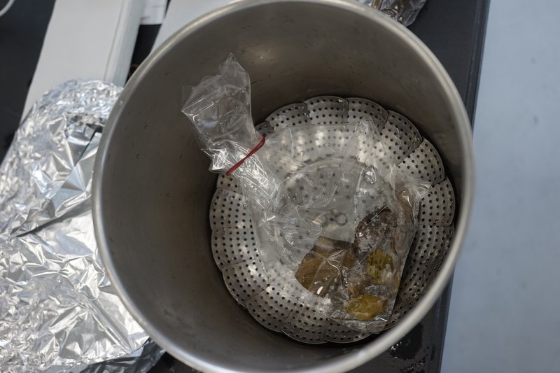 leaves_sterilized.JPG