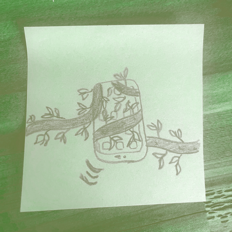 2.1Ogrady_Image01.png