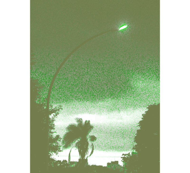 0.3Selva_image-1.png