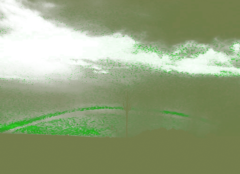 0.3Selva_image-2.png
