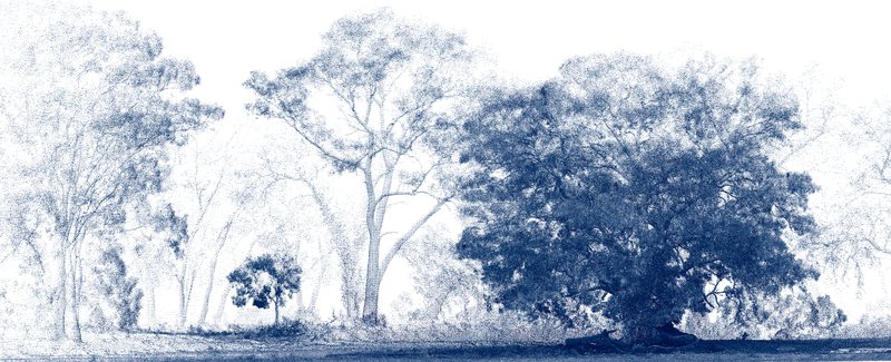 Wirra_renderCC_7_blue.jpg