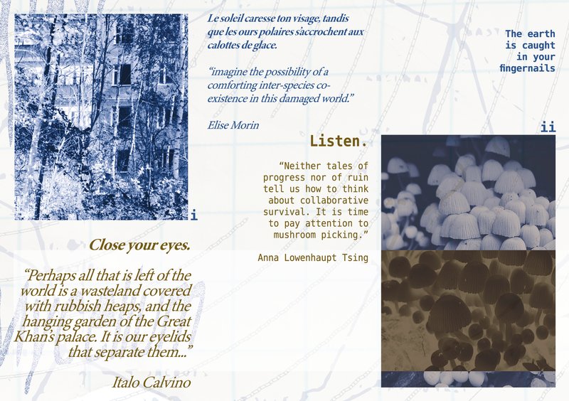CC_FA_web_Tender Ruins_front.png